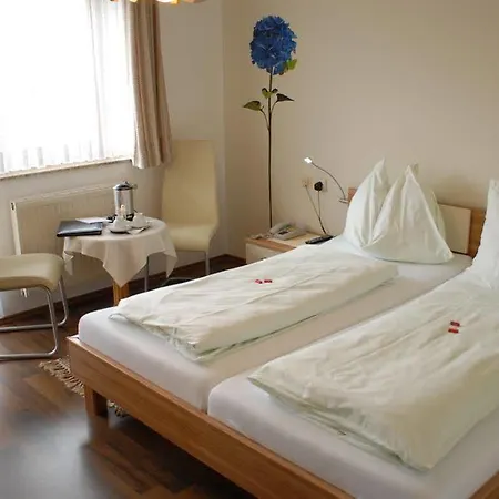 Baernthaler Garni 3* باد سانت ليونارد إم لافانتال